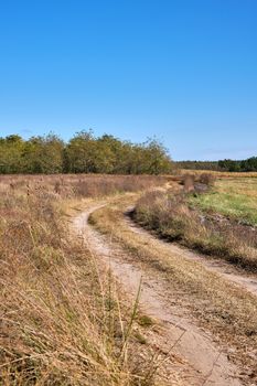 sandy road in the middle of the Ukrainian steppe on an autumn day, Kherson region