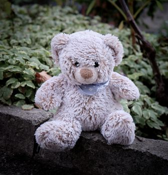little gray teddy bear sitting on the side of the road during the day, loneliness concept