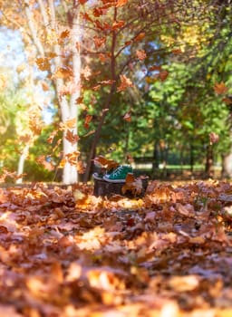 worn green sneakers on a stump in the midst of flying yellow maple leaves in an autumn park