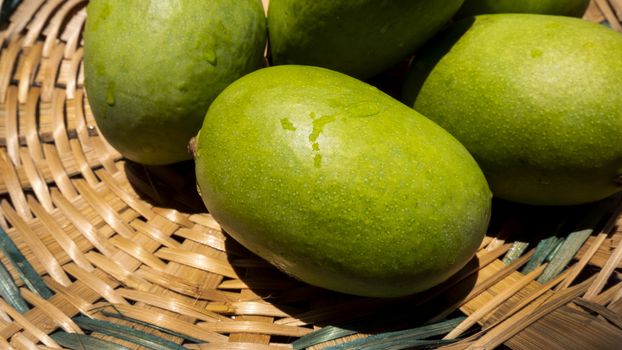 close up view of green or raw mangoes gathering in bamboo bucket which are filling out on the trees, where they can be left to ripen, but are also perfect to eat right now