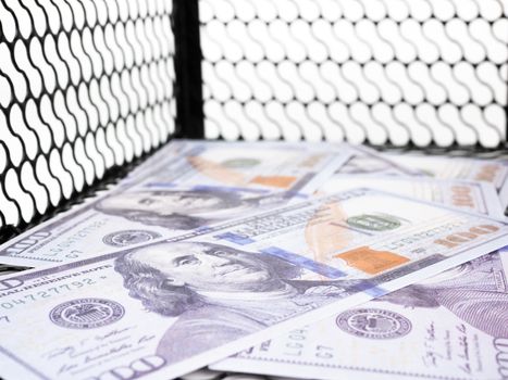 Dollars money in a mouse trap on white background