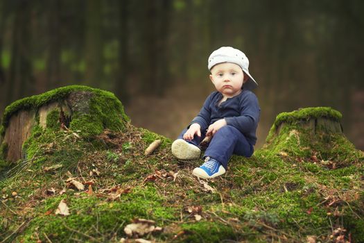 A caucasian boy with blue eyes in a cap with his peak back is sitting alone in a forest between two moss-covered stumps.