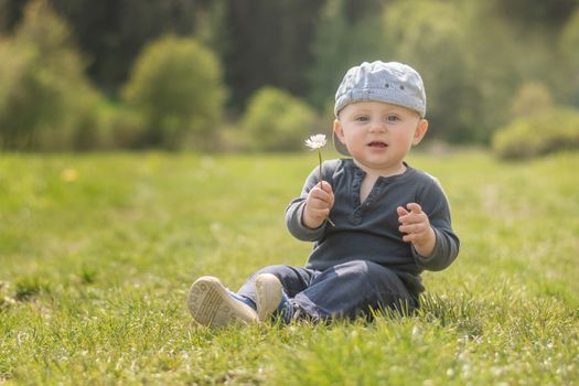 A blue-eyed Caucasian infant in hat sits on a meadow road and giving a daisy to the camera.