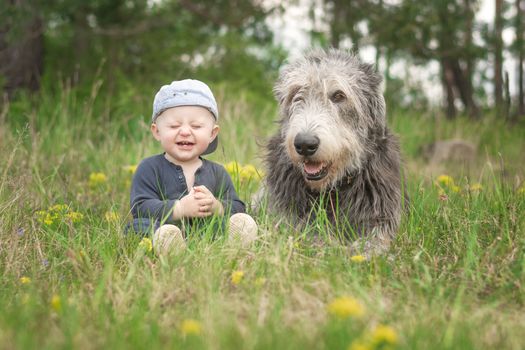 An 11 month old infant sits in the grass with his protector, a giant Irish Wolfhound dog. Laughing and sharing a friendship between a child and a dog.
