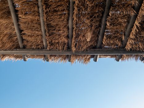 Tropical coconut palm tree leaf pavilion roof with blue sky.