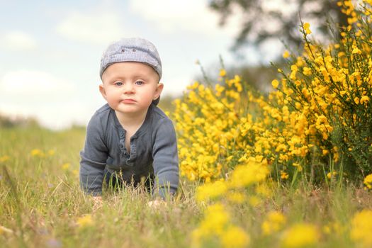 A blue-eyed Caucasian infant with a serious expression climbs a meadow framed by yellow flowers.