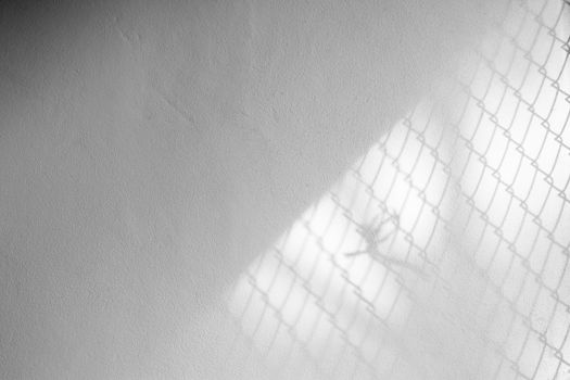 Window natural shadow overlay effect on white concrete wall texture background, for overlay on product presentation, backdrop and mockup