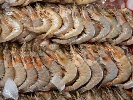 Fresh shrimps on crushed ice