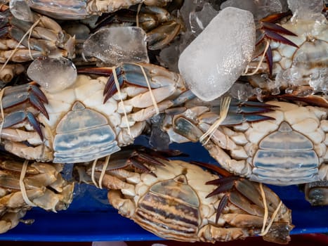 Fresh crabs on crushed ice