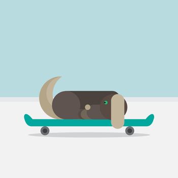 Dog sitting on a skateboard. Vet symbol. Delivery icon. Vector