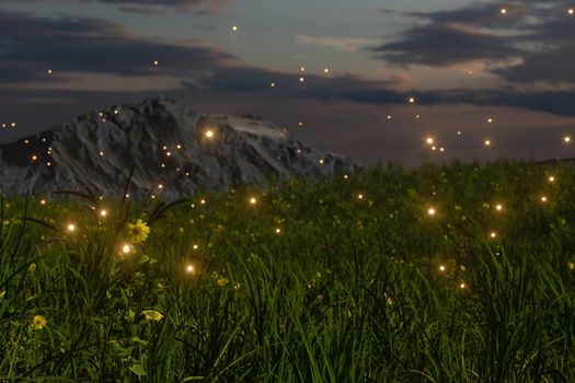 Flying glowworm over the grass field, 3d rendering. Computer digital drawing.