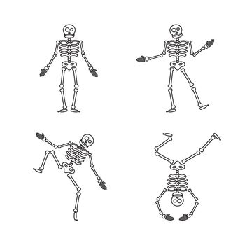 Happy Halloween skeleton illustration, zombie from bones and skull. Vector