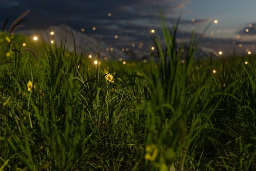 Flying glowworm over the grass field, 3d rendering. Computer digital drawing.