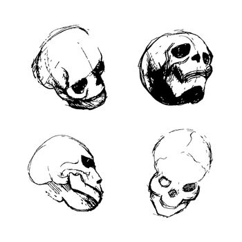 Skull sketch from different views. Death symbol. Vector
