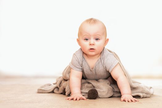 Caucasian infant with curious expression sitting on light carpet with blanket with pompons over his shoulders on white background.