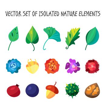 Vintage flowers, fruits and leaves icons collection. Vector