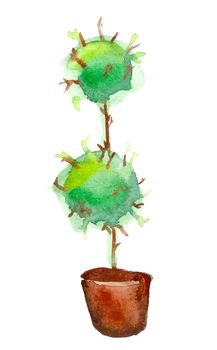 Vector aquarelle tree in pot, nature symbol