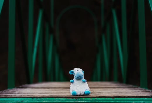 a fluffy sheep abandoned on a footbridge over a stream