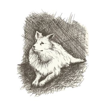 Vector dog in anddrawn engraving style by pen, retro hound