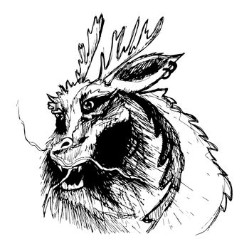 Vector dragon drawing by hand on the paper