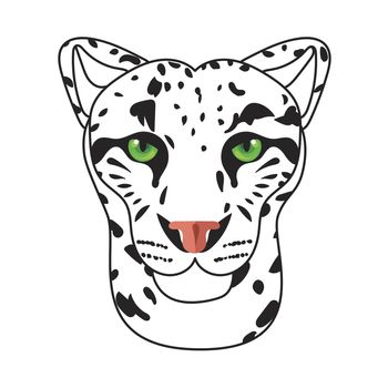 Wild cat face, snow bars head. Vector