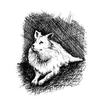 Vector dog in anddrawn engraving style by pen, retro hound