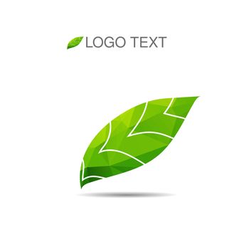 Vector ecology logo or icon in eps, nature logotype