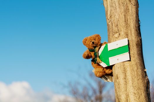 Plush teddy bear on a pointer with a green arrow with a blue sky in the background.