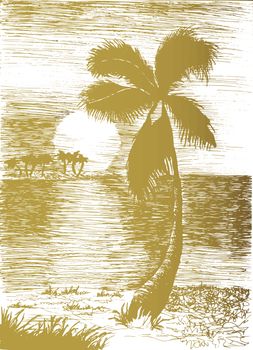 Vector tropical summer illustration with palm tree and islands