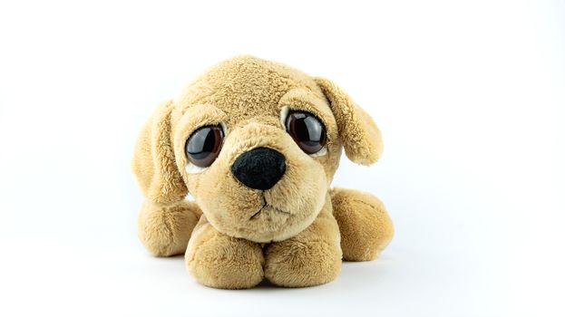 Plush toy - sad puppy isolated on white background.