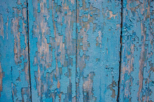Background from an old wooden door painted in blue. Texture of peeling paint on the boards.