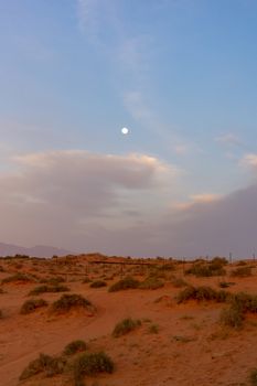 Evening sunset in the desert sand dunes of the United Arab Emirates with a blue sky, clouds, and the moon shining brightly with sunset behind.