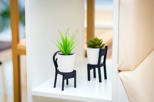 Small decorative artificial interior flowers in pots stand on miniature chairs on a shelf