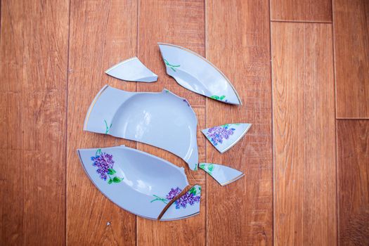 The plate fell to the floor and broke into small pieces. Shards of chopped dish scattered