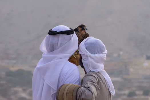 A pair of Emirati falconers hold a peregrine falcon  (Falco peregrinus) in the United Arab Emirates (UAE) a culture and tradition in the Middle East.