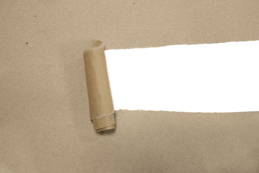 torn brown package rolled up curvl paper with blank white copyspace