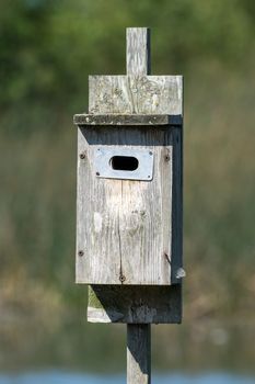 Wooden closed bird house in a bird santuary in the summer sunshine in Canada.