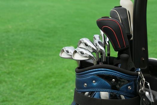 golf club in bag against green grass background