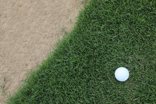 golf ball on tee on the green grass