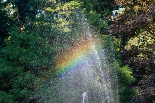 A rainbow in a fountain in a water park in the forest of Canada. Conceptual.