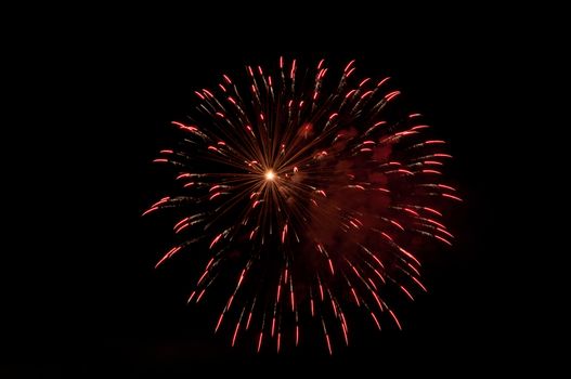 Fireworks explode in the night sky.