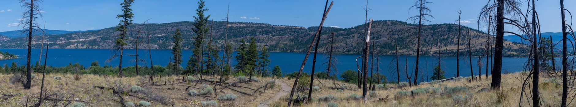 Panorama of Okanogan Lake mountains in Kelowna, British Columbia, Canada on a sunny day looking at burned forest, dry ground and the lake.