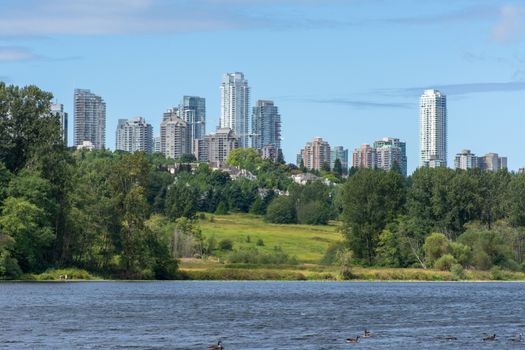 Burnaby, British Columbia, Canada skyline from Deer Lake looking towards Metrotown and apartment complexes on a sunny summer day.