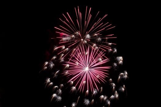 Fireworks explode in the night sky.