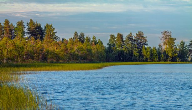 Karelian lake with edge of forest with selective focus.