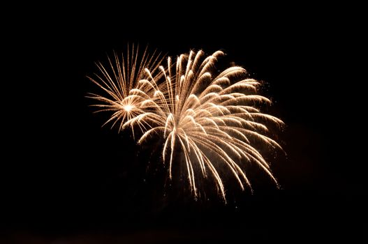 Fireworks explode in the night sky.