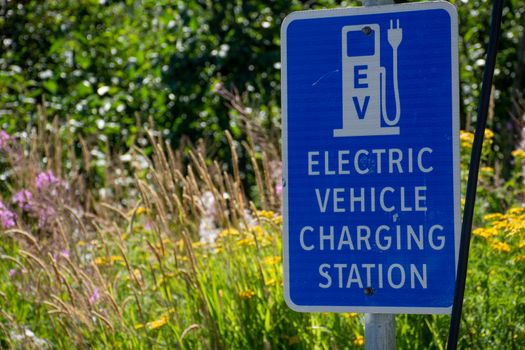 Electric vehicle only charging station sign for environmentally friendly vehicles with a green grass and flower background.