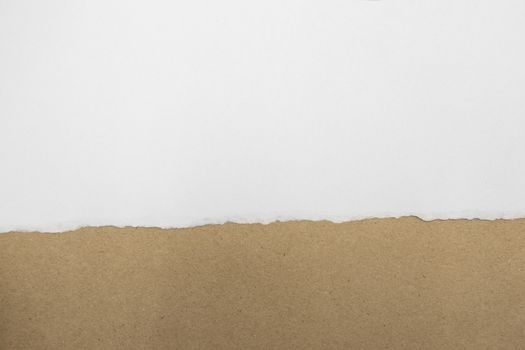 Isolated Torn white Paper with brown Blank Copyspace