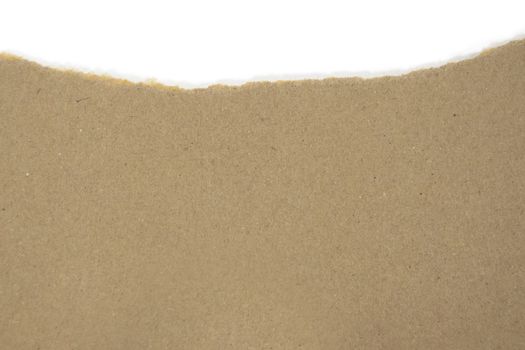 Isolated Torn Brown Package Paper with White Blank Copyspace