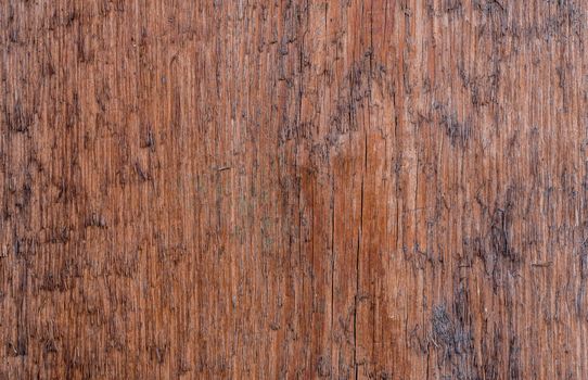 Old wood texture. Brown outdated Board. Retro furniture decor. Hardwood material